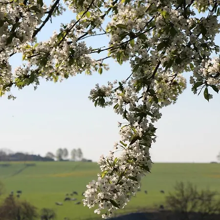 Дом отдыха Domein Hellebeuk Valkenburg/klimmen *