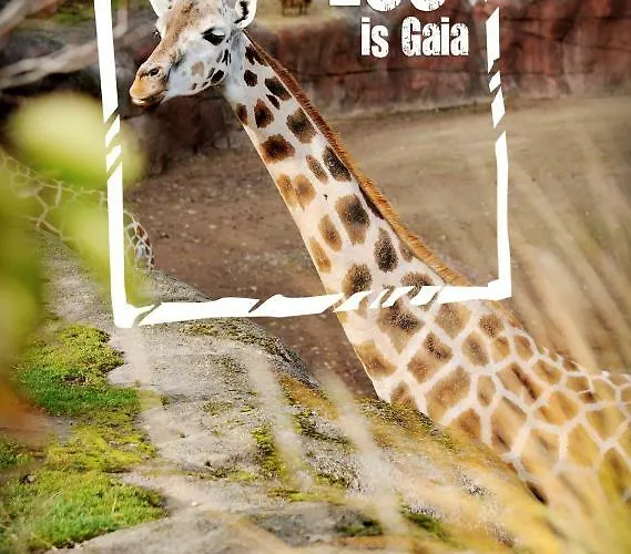 Дом отдыха Domein Hellebeuk Valkenburg/klimmen