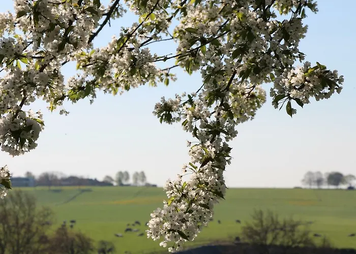 Дом отдыха Domein Hellebeuk Valkenburg/klimmen *