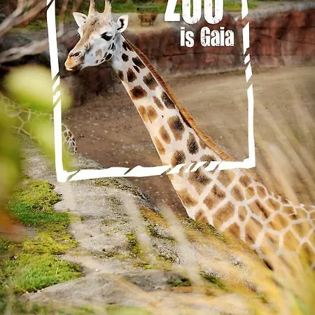 度假居 Domein Hellebeuk Valkenburg/klimmen